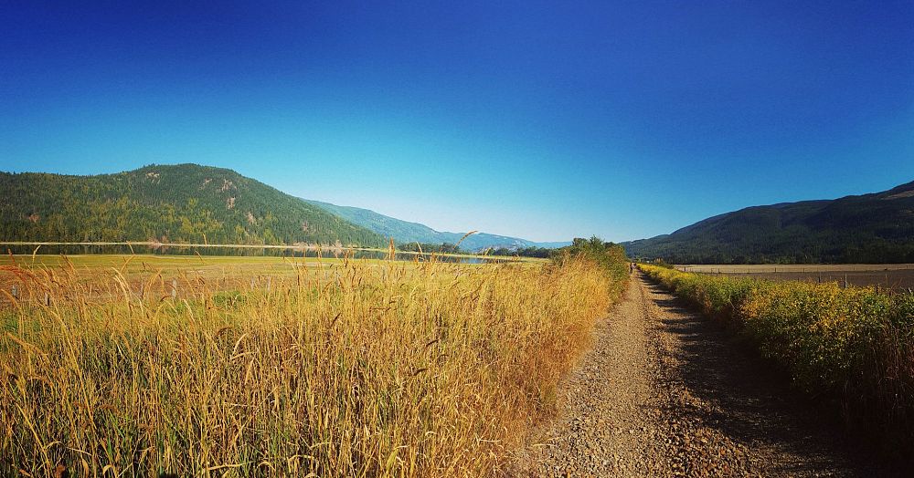 Sicamous-to-Armstrong Rail Trail planning proceeds with public information displays, agricultural meetings