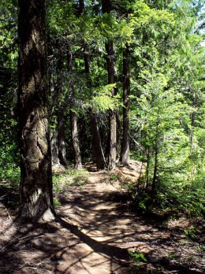 New trail above Scotch Creek invites deeper appreciation 