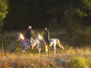 Mountain Bike event invites riders to think like a horse