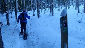Mt Baldy tops list of new Shuswap trails ready for winter