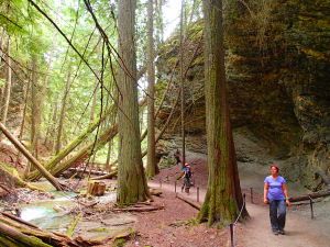 Search for the Becca Beacon during weekly Summer trail challenge in the Shuswap