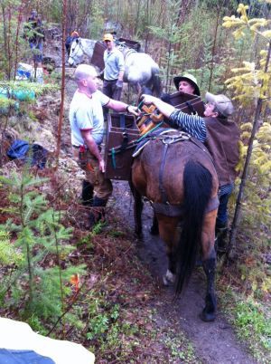 Volunteers needed to finish upgrades on South Canoe trails