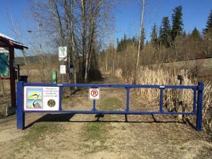 Salmon Arm Bay Foreshore Trail Closed to Dogs during critical nesting season