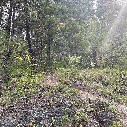 Blind Bay White Lake Trails