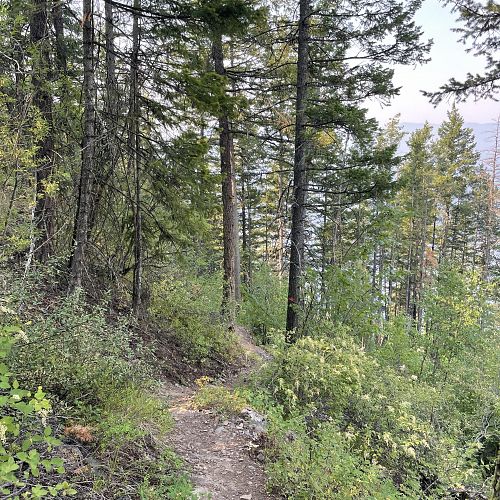 Blind Bay White Lake Trails