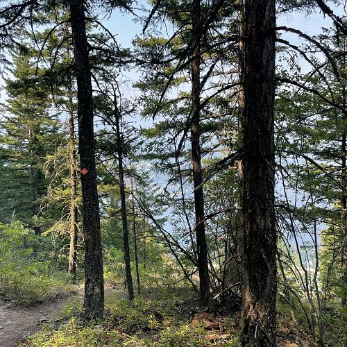 Blind Bay White Lake Trails
