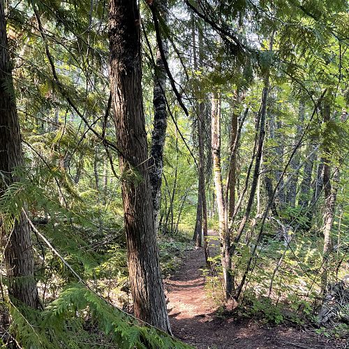 Blind Bay White Lake Trails