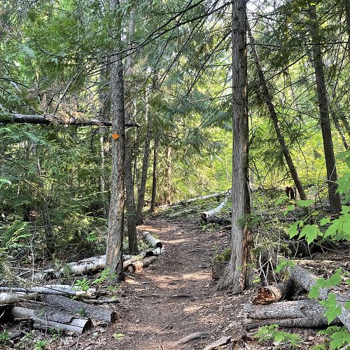Blind Bay White Lake Trails