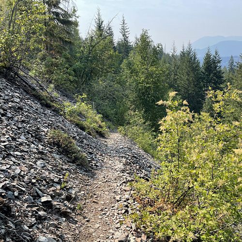 Blind Bay White Lake Trails
