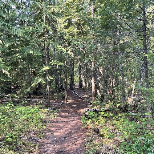 Blind Bay White Lake Trails