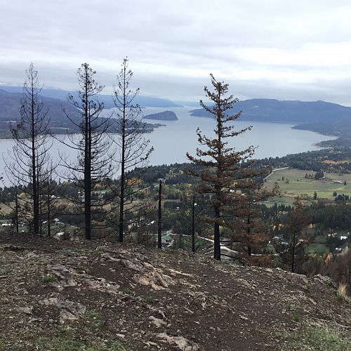 Mt Baldy Lookout