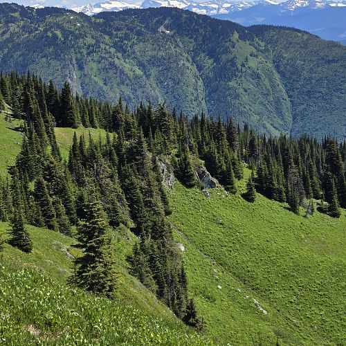 Crowfoot Mountain and Mobley Lookout 