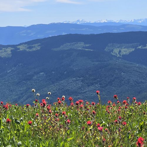 Crowfoot Mountain and Mobley Lookout 