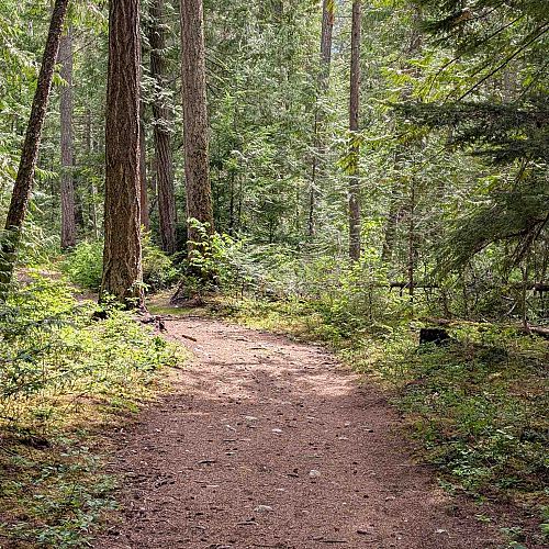 Trail