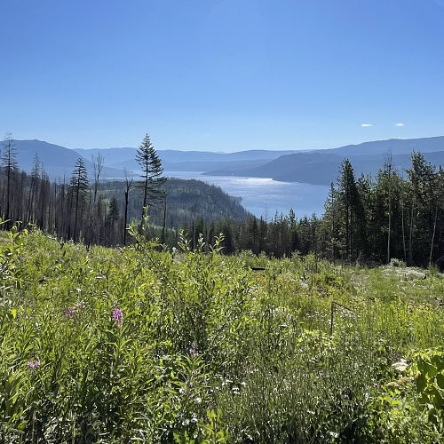 Scotch Creek - Hlina 