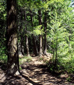 New trail above Scotch Creek invites deeper appreciation 