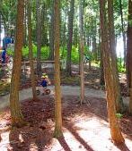Brand new Pocket Park gets kids out on bikes and trails